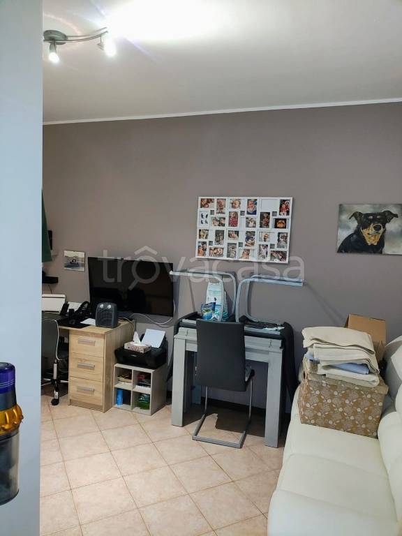 immagine annuncio 3 di 12
