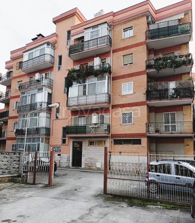 immagine annuncio 3 di 10