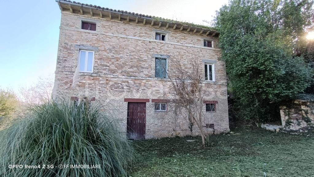 immagine annuncio 3 di 13