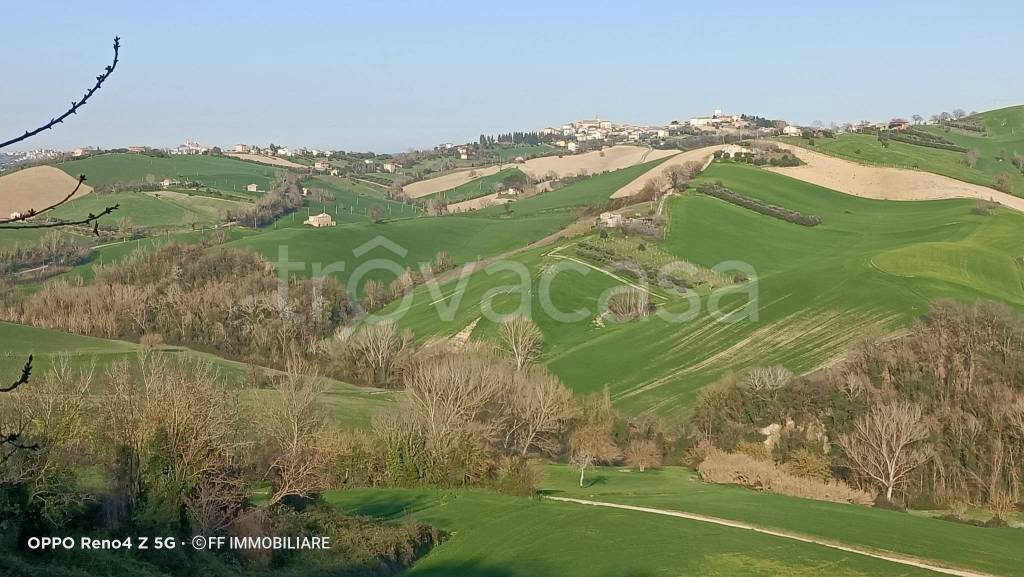 immagine annuncio 9 di 13