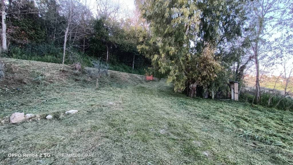 immagine annuncio 11 di 13