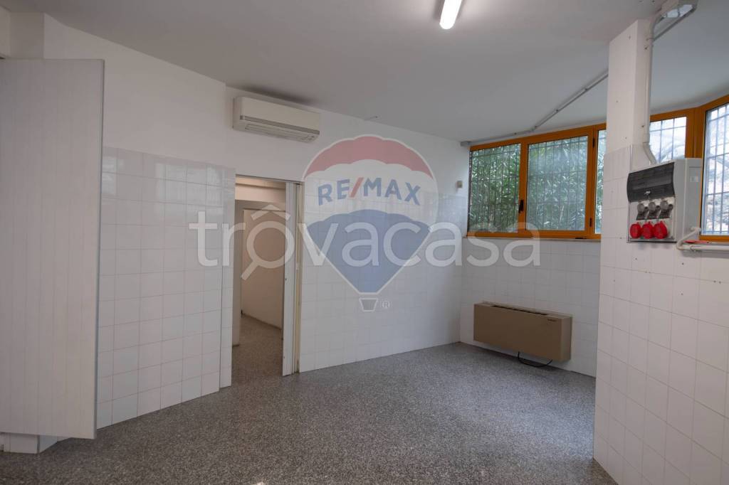 immagine annuncio 10 di 14
