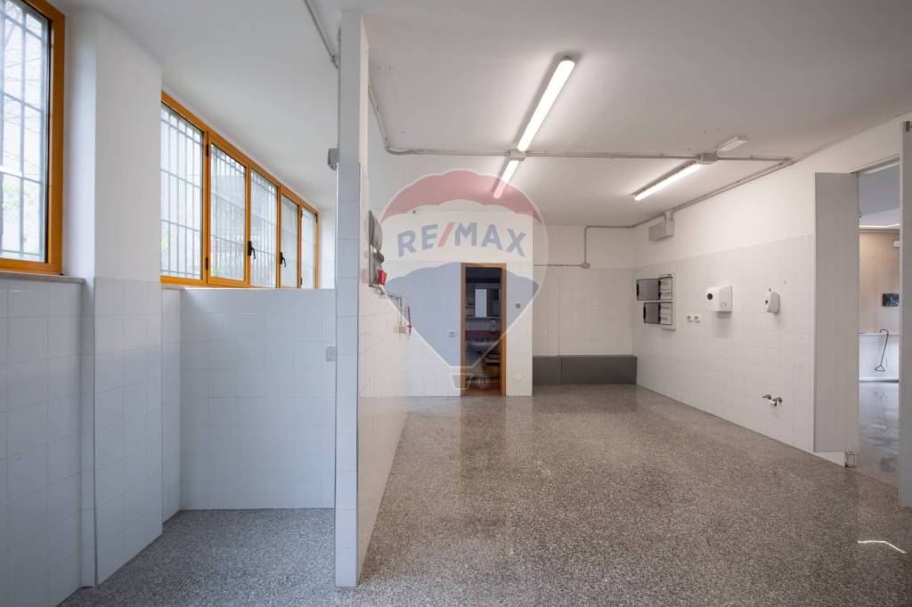 immagine annuncio 11 di 14