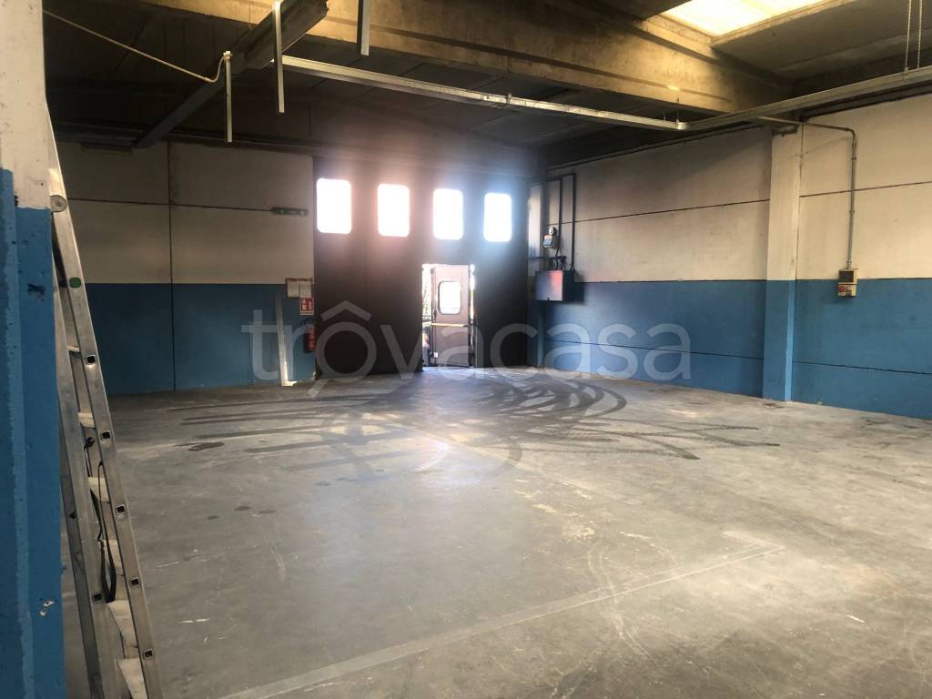 immagine annuncio 5 di 15