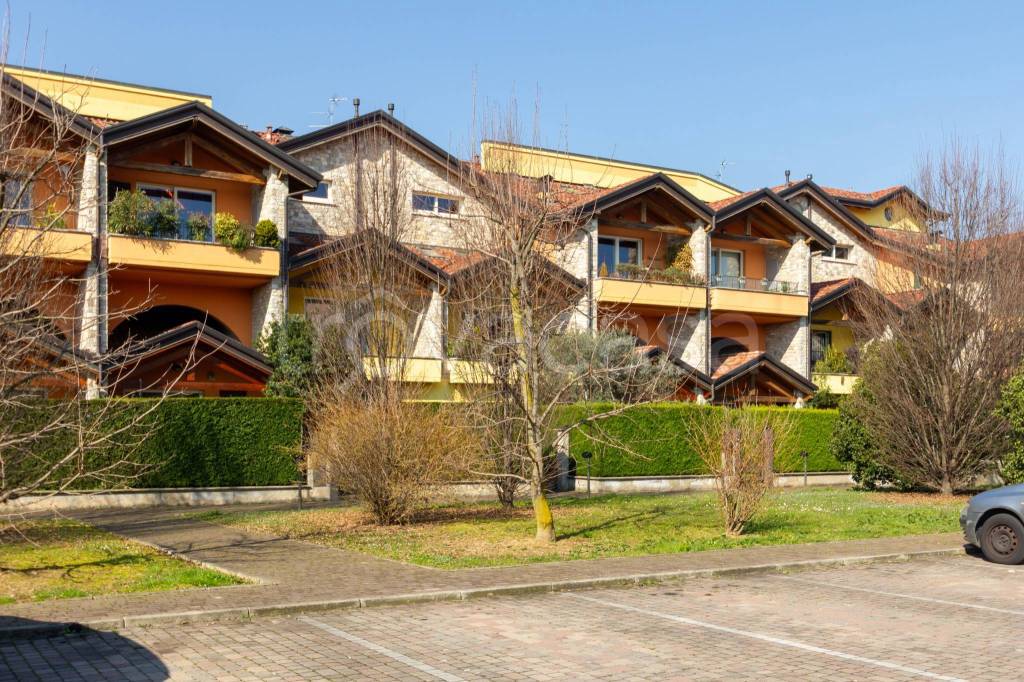 immagine annuncio 3 di 15