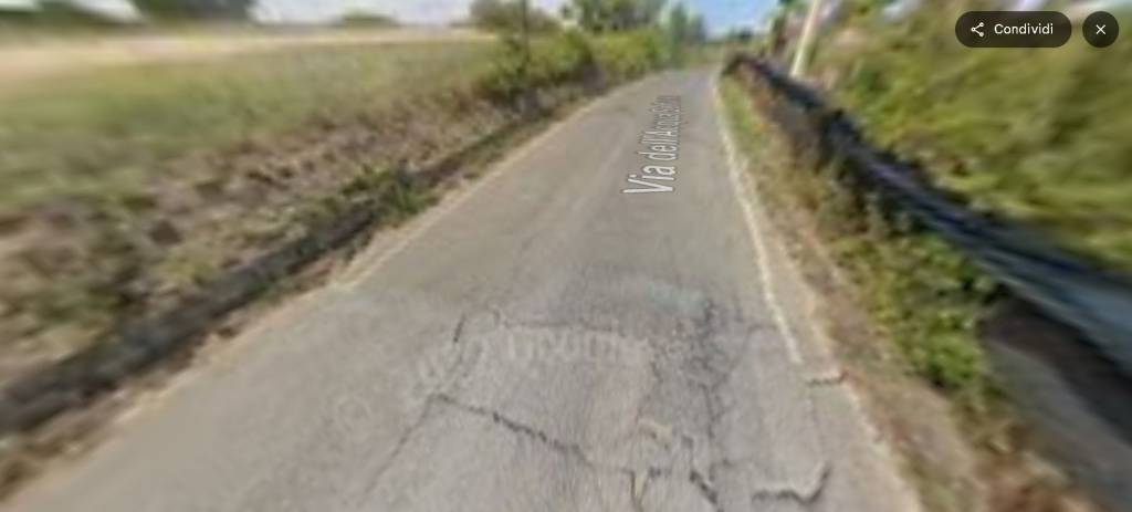 immagine annuncio 5 di 14