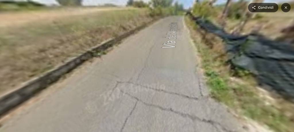 immagine annuncio 6 di 14