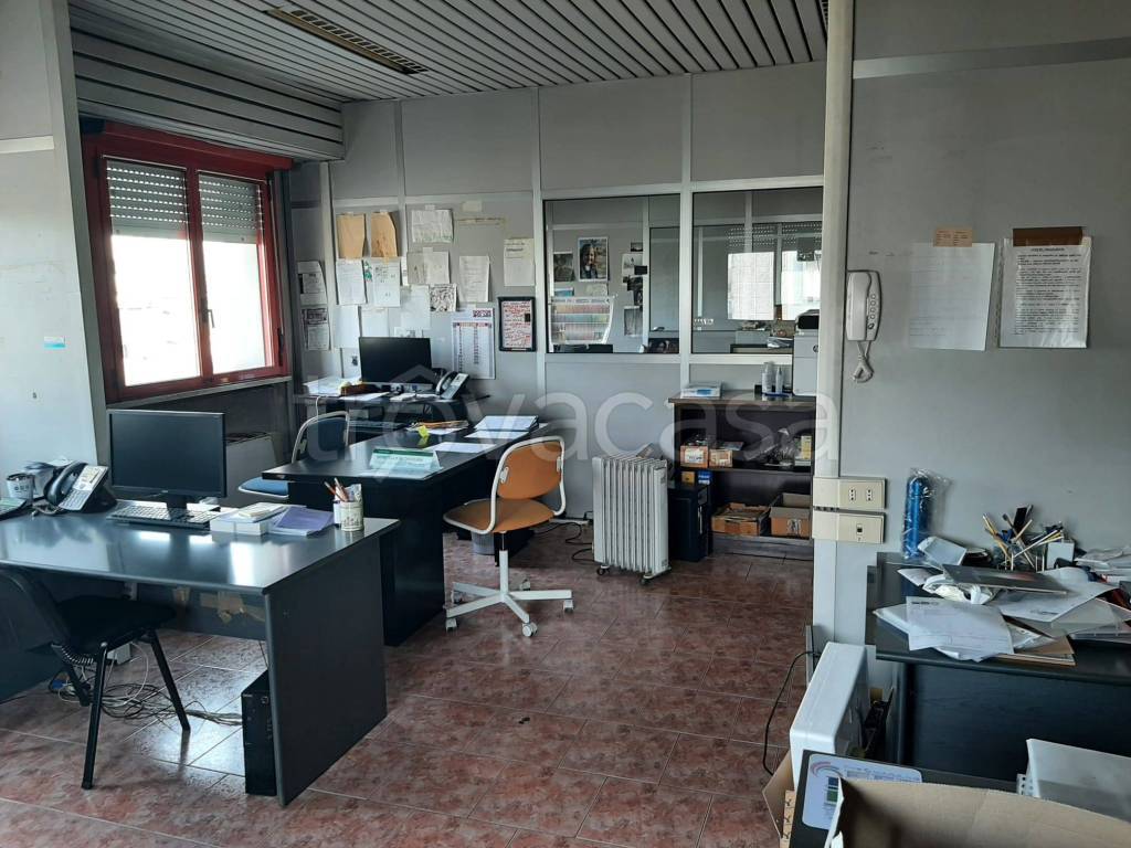 immagine annuncio 14 di 15