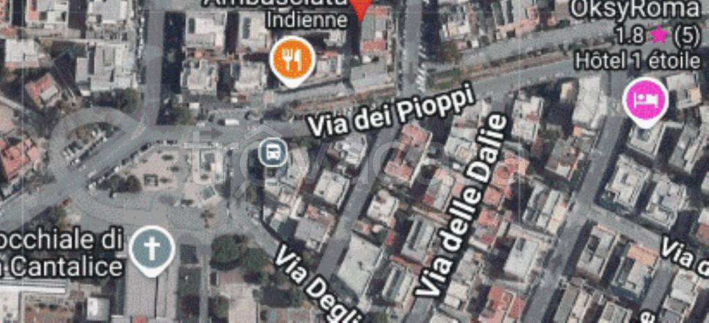 immagine annuncio 6 di 9