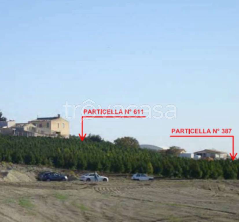 immagine annuncio 7 di 12