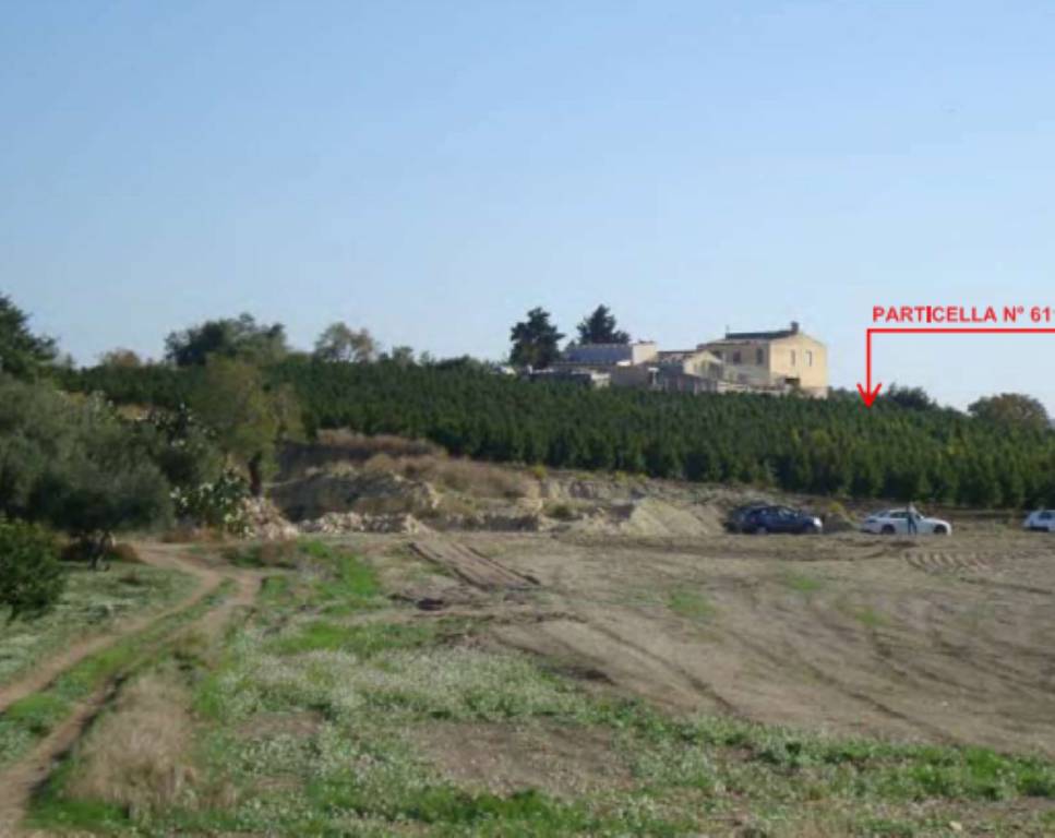 immagine annuncio 8 di 12