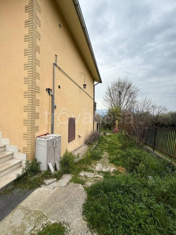 immagine annuncio 12 di 14