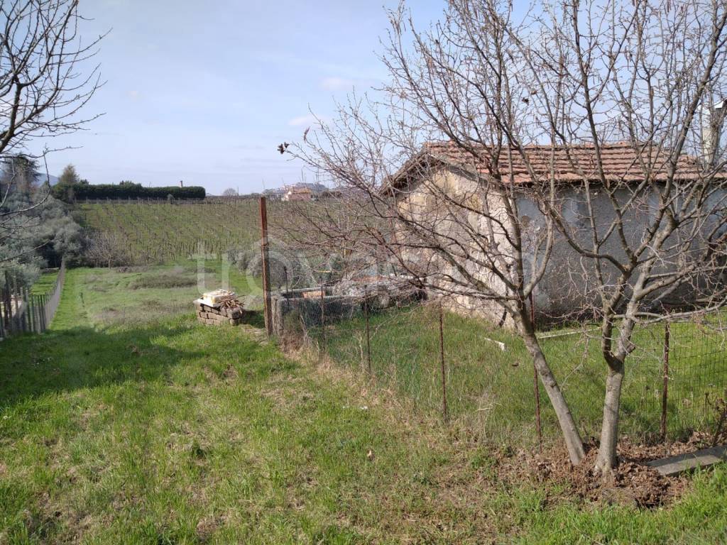 immagine annuncio 3 di 7