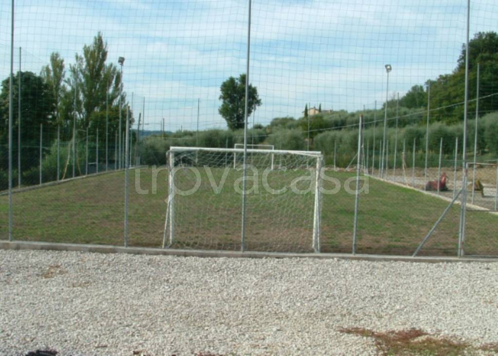 immagine annuncio 7 di 11