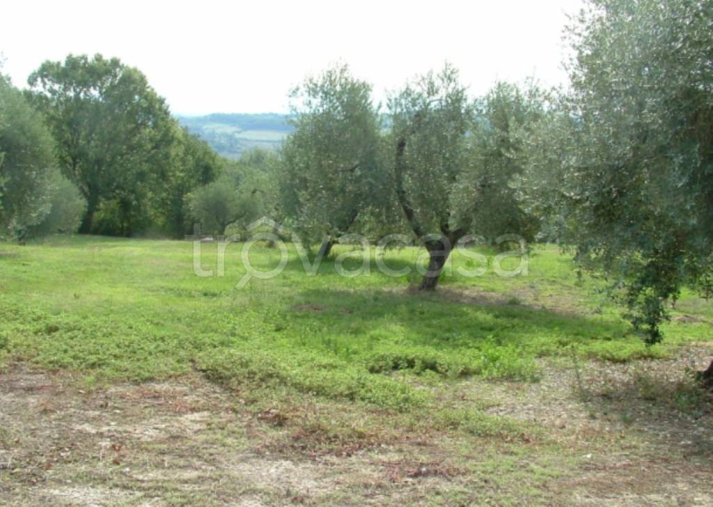 immagine annuncio 8 di 11