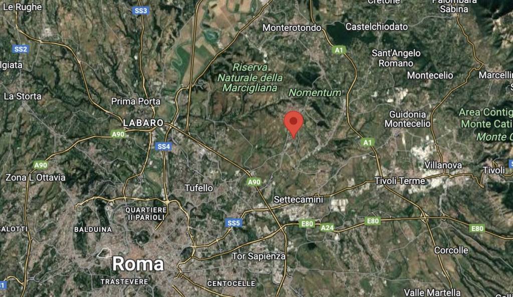 immagine annuncio 12 di 13