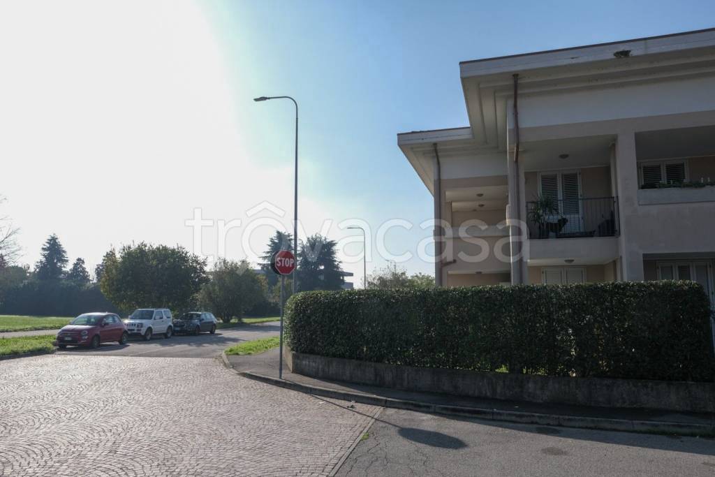 immagine annuncio 2 di 11