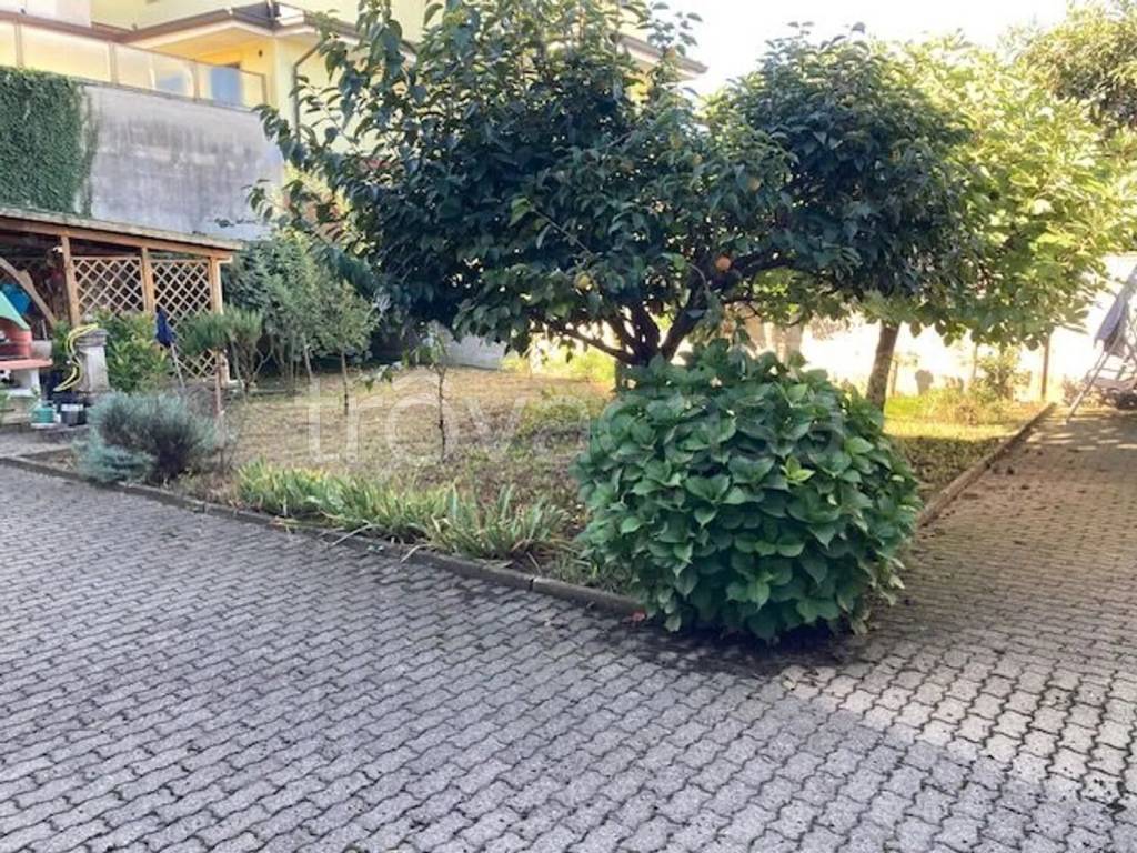 immagine annuncio 3 di 6