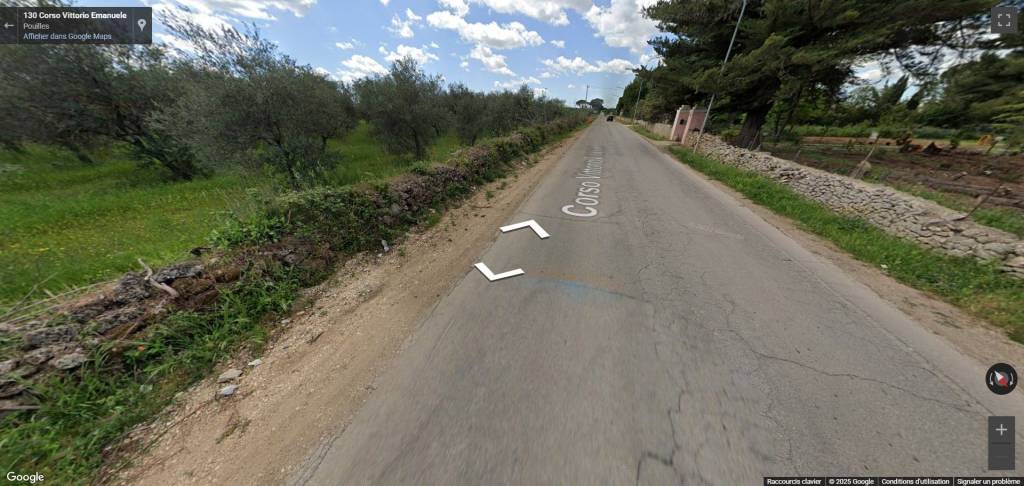 immagine annuncio 12 di 13