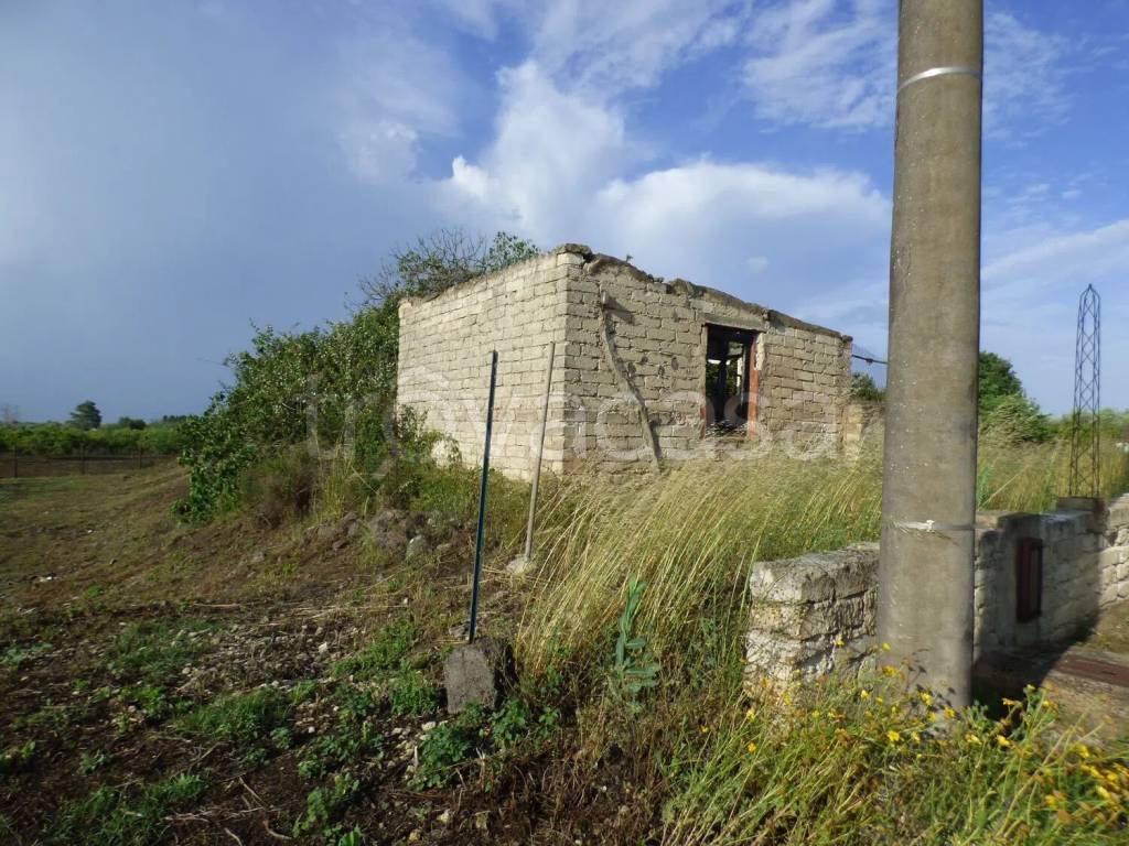 immagine annuncio 2 di 3