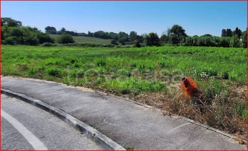 immagine annuncio 3 di 12