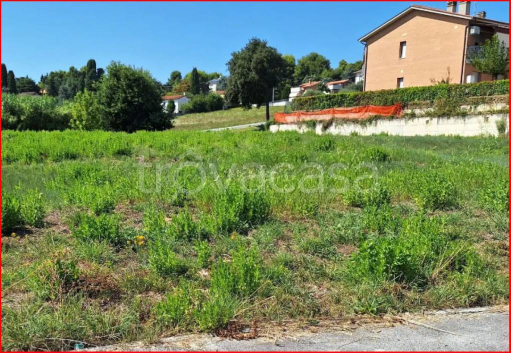 immagine annuncio 5 di 12