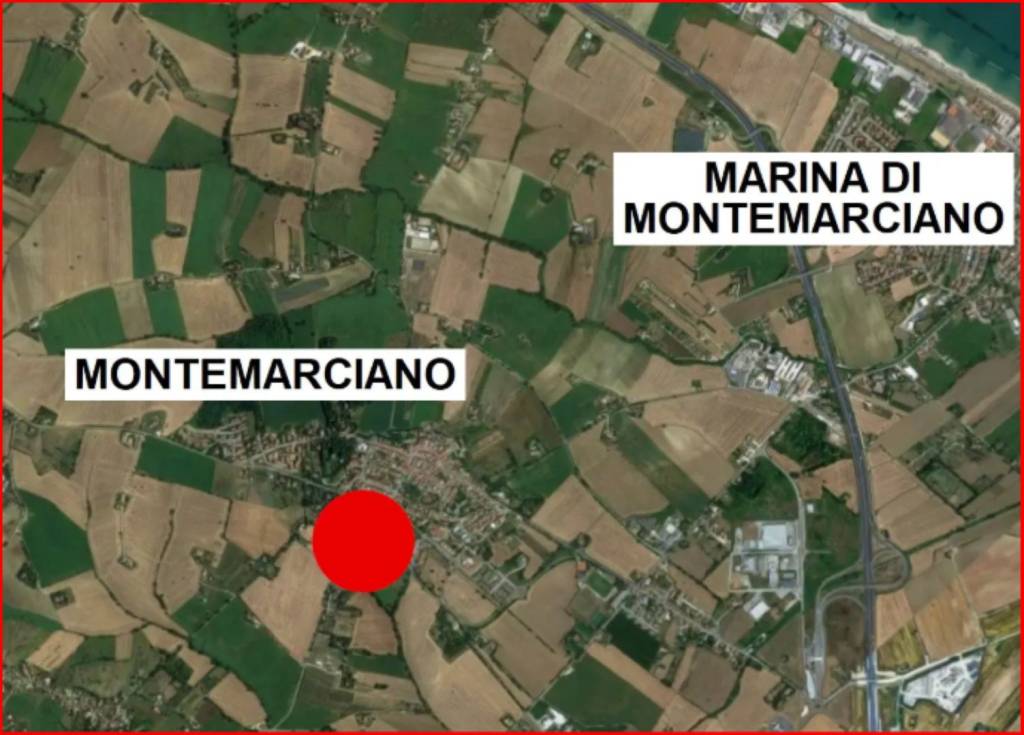 immagine annuncio 11 di 12