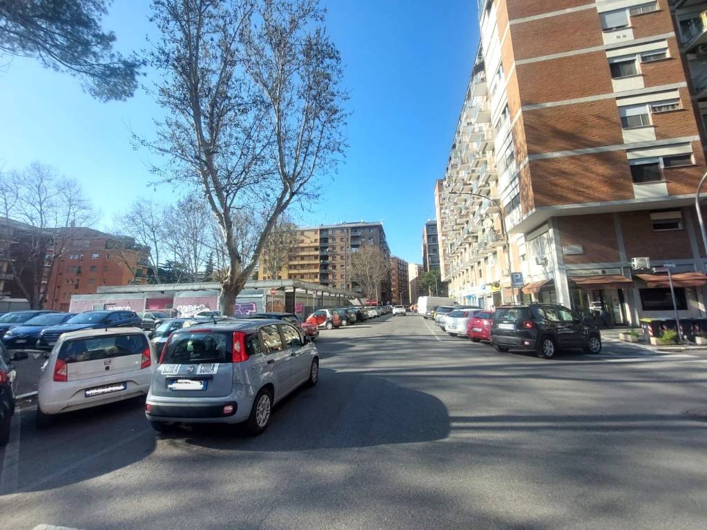 immagine annuncio 1 di 14