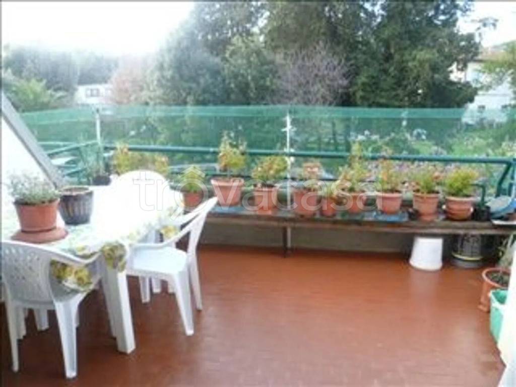immagine annuncio 5 di 6