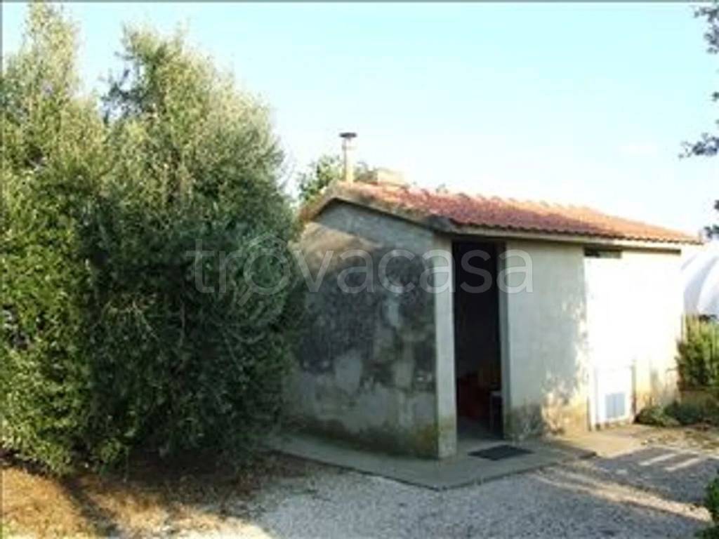 immagine annuncio 3 di 6