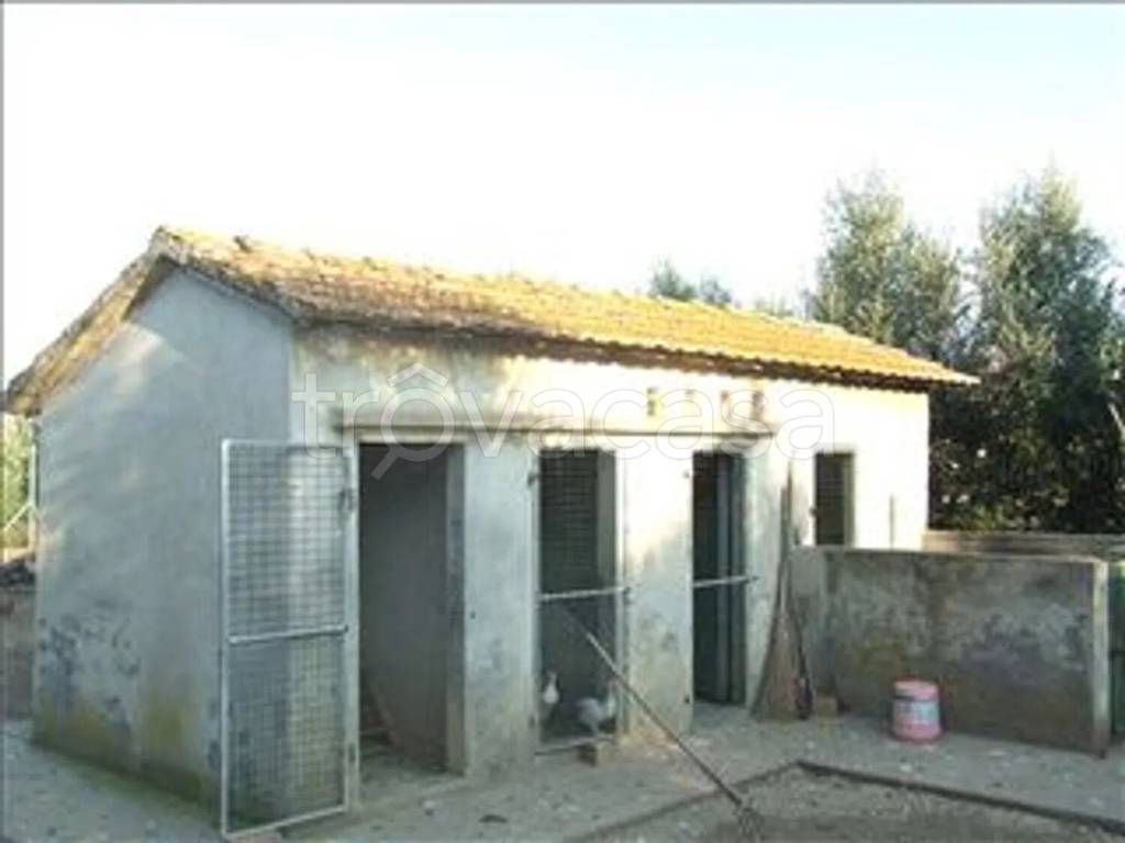 immagine annuncio 4 di 6