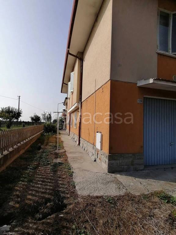 immagine annuncio 2 di 14