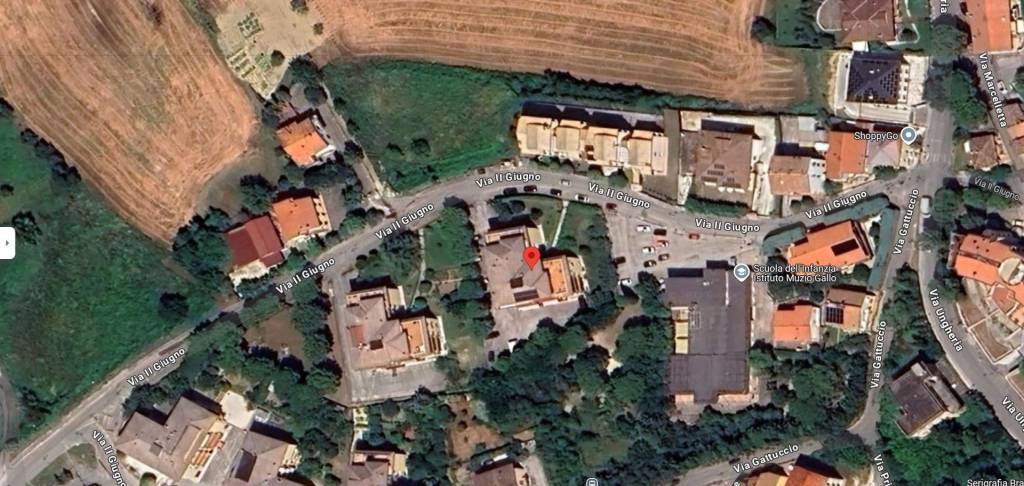 immagine annuncio 12 di 14