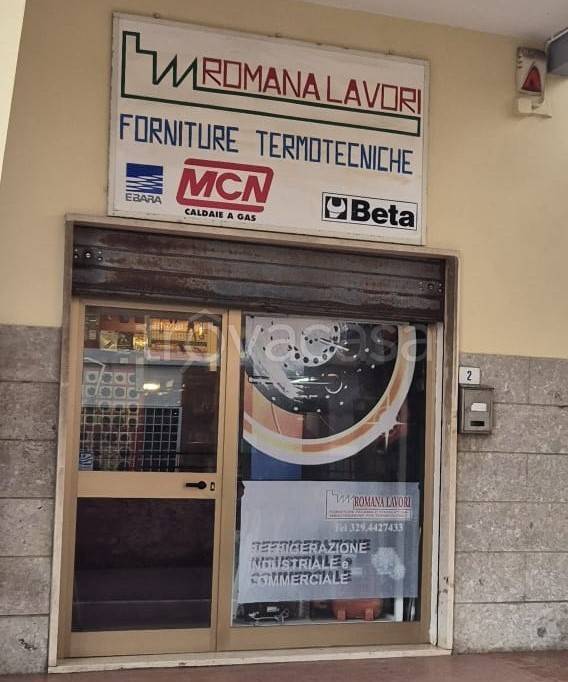 immagine annuncio 1 di 6