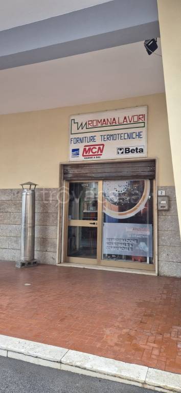 immagine annuncio 3 di 6
