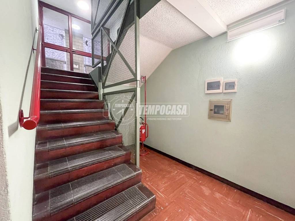 immagine annuncio 12 di 14