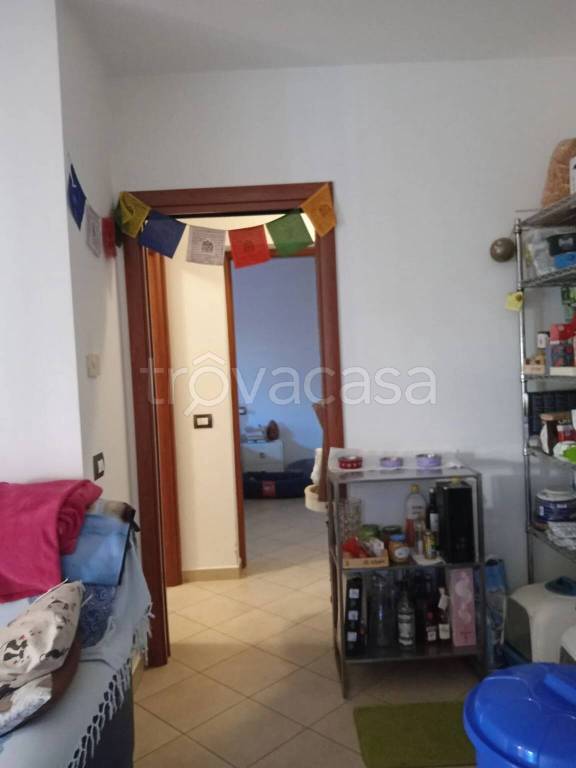 immagine annuncio 8 di 12