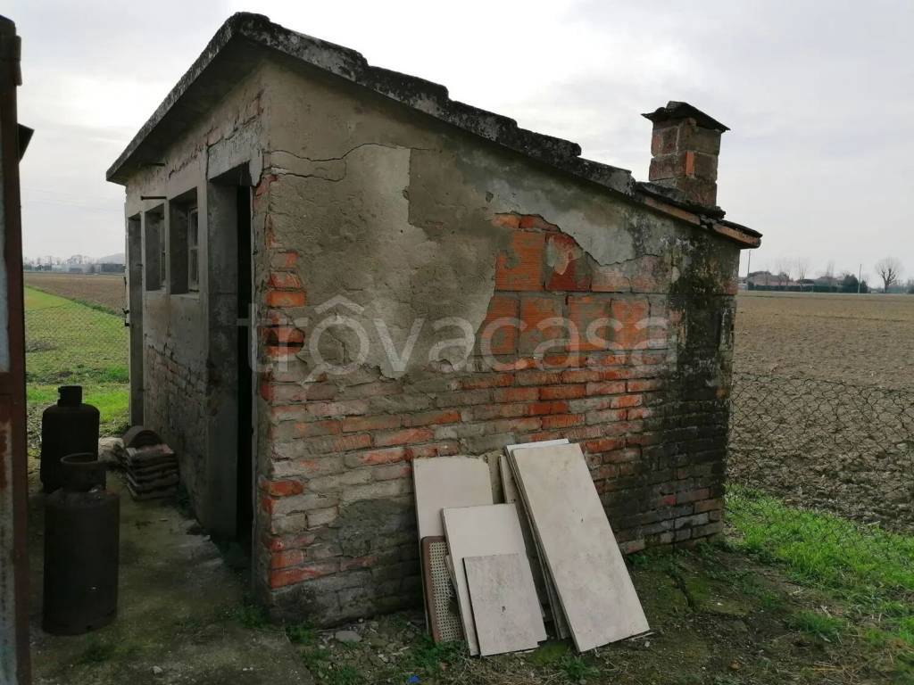 immagine annuncio 2 di 14