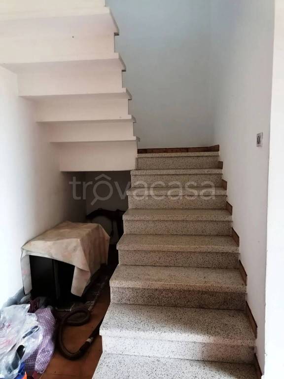immagine annuncio 6 di 14