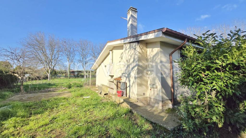 immagine annuncio 1 di 14