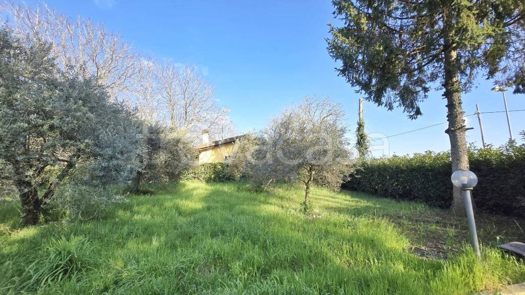immagine annuncio 10 di 14
