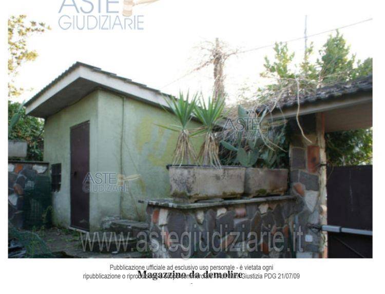 immagine annuncio 13 di 14