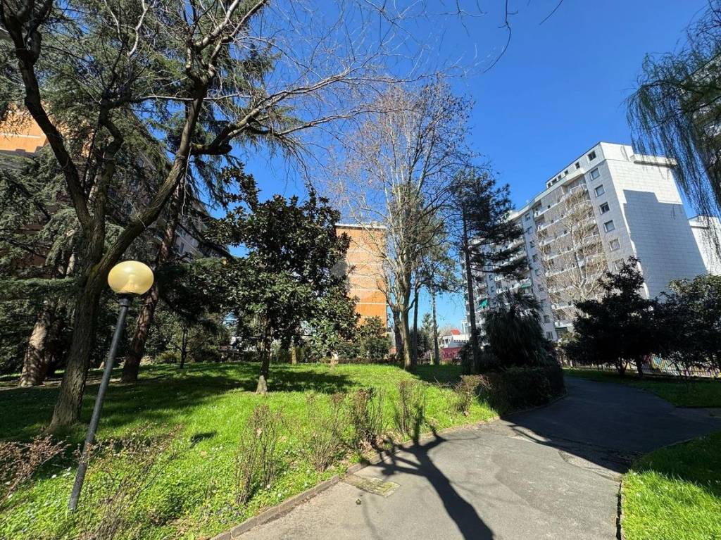 immagine annuncio 7 di 15