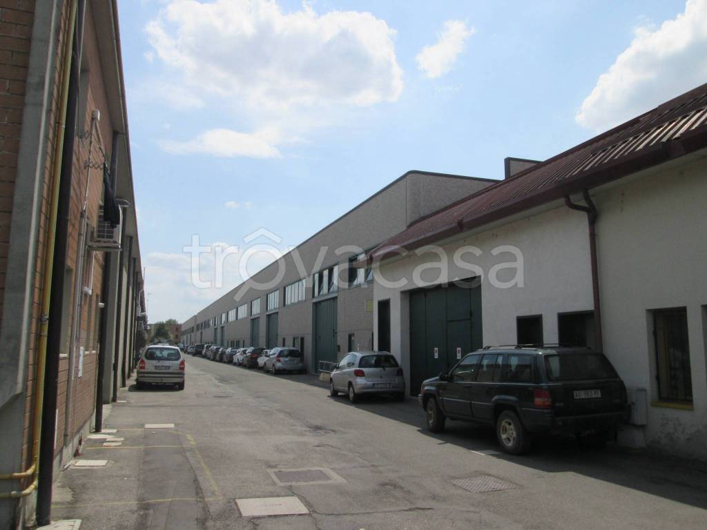 immagine annuncio 4 di 5
