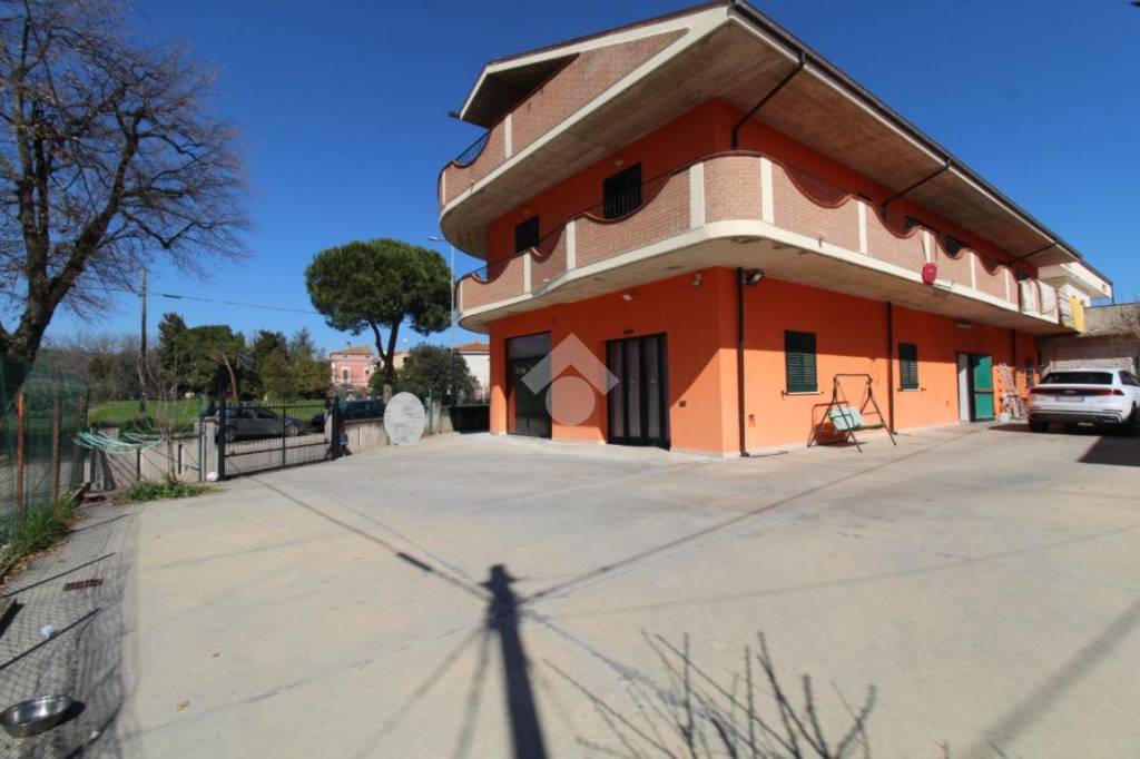 immagine annuncio 2 di 11