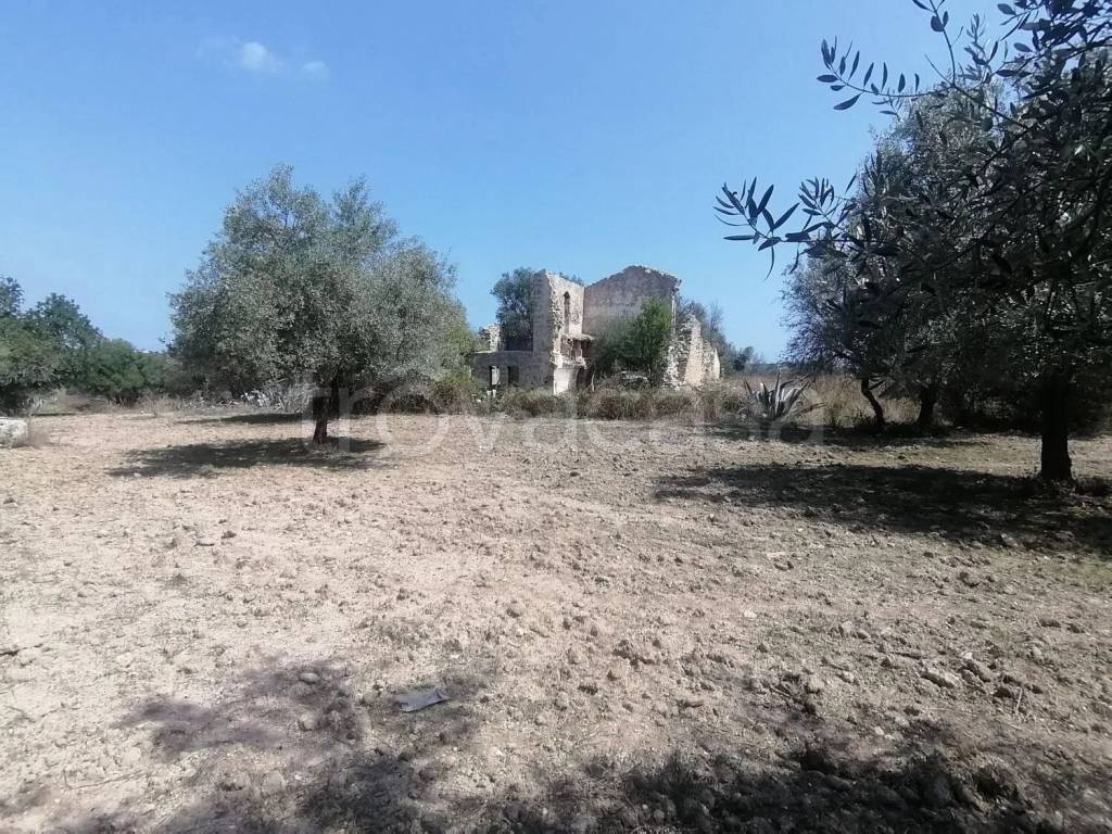 immagine annuncio 4 di 7