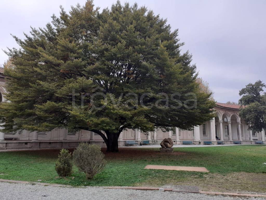 immagine annuncio 3 di 4