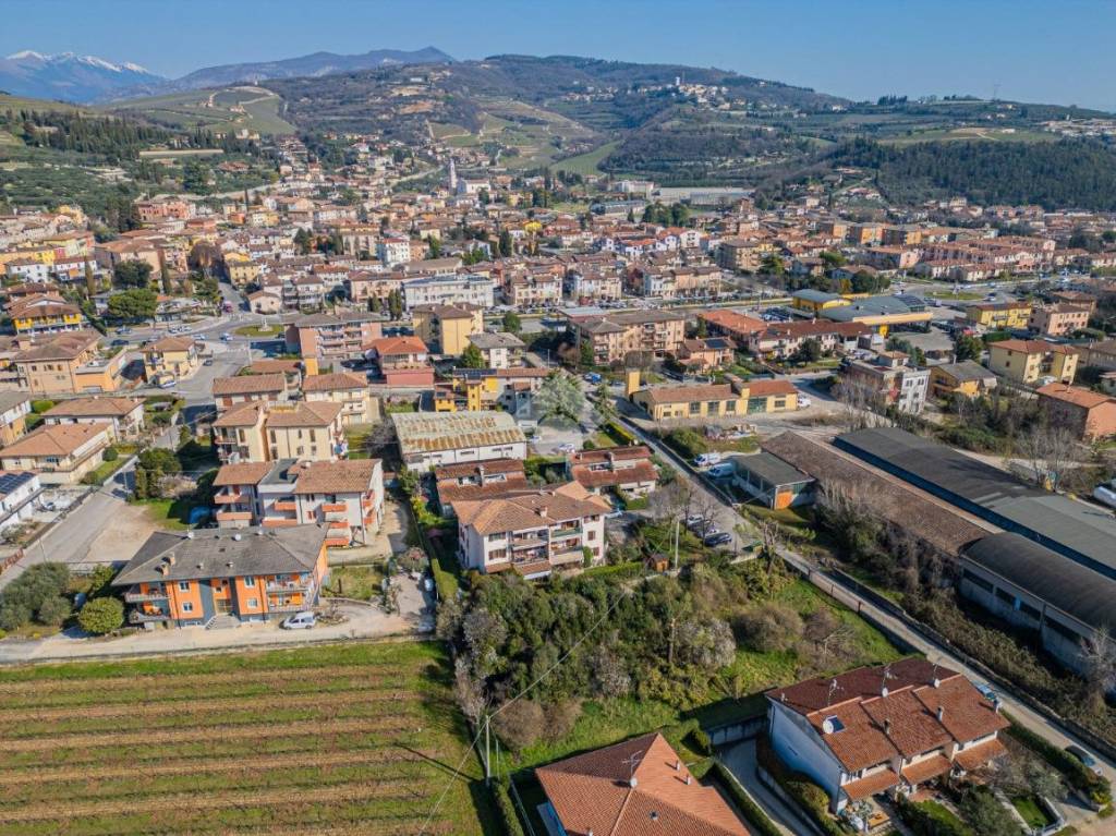 immagine annuncio 4 di 14