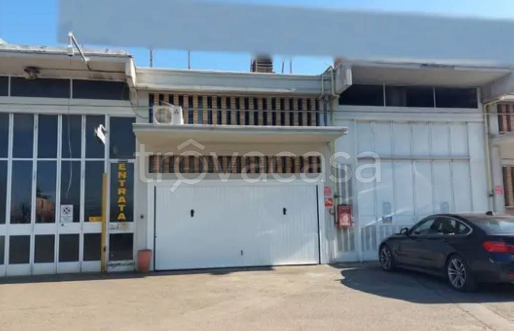 immagine annuncio 8 di 12