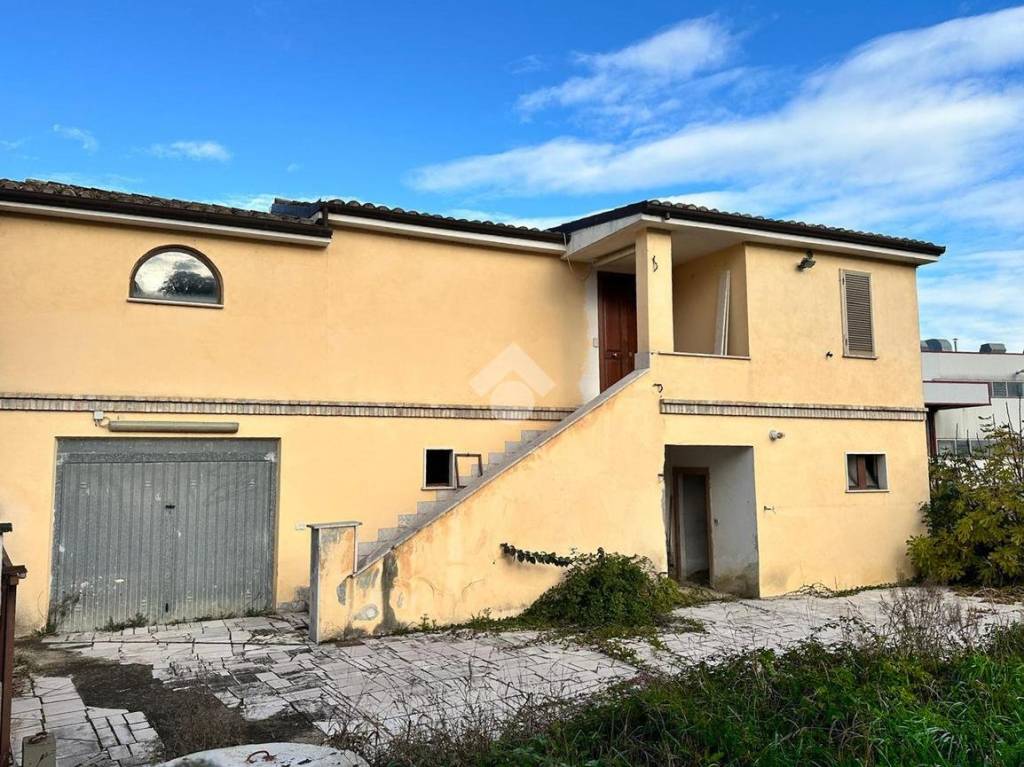 immagine annuncio 11 di 12